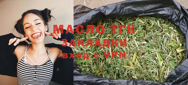 дмт Алексин