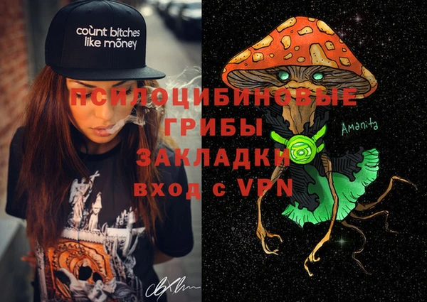 дмт Алексин
